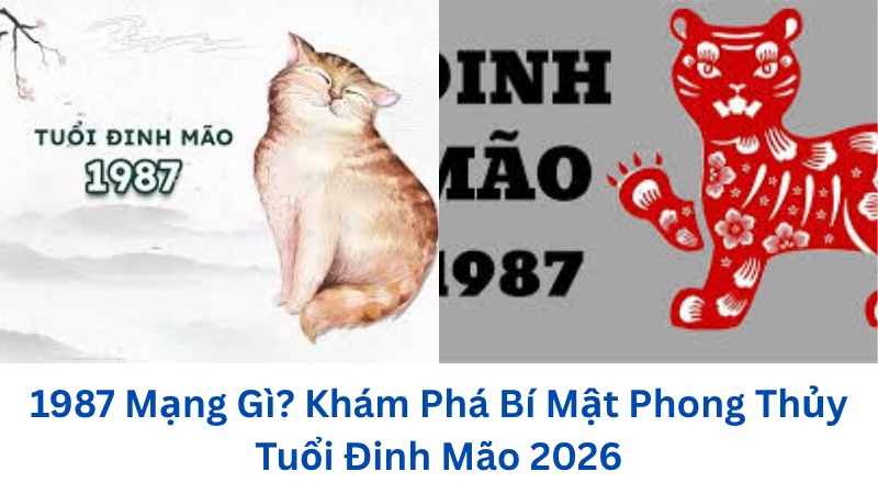 1987-mang-gi