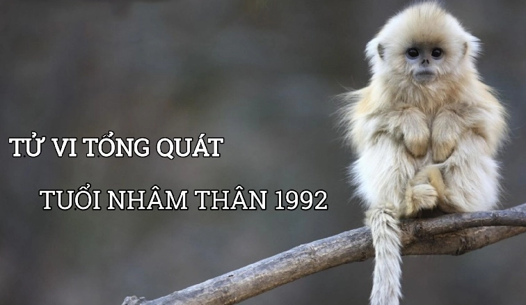 1992-mang-gi-giai-ma-van-menh-phong-thuy-tuoi-nham-than-2026_330