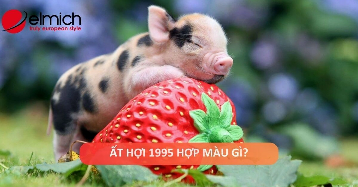 1995 hợp màu gì? Chọn màu cho tình duyên, công danh hanh thông