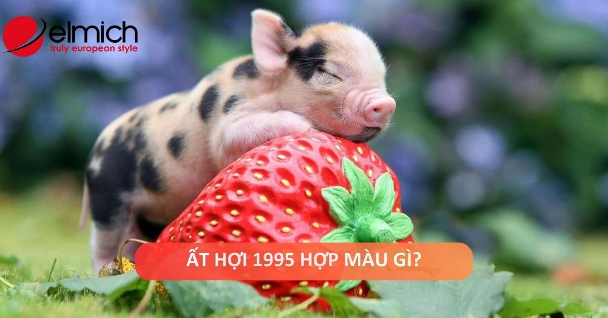 1995-mang-gi-kham-pha-ban-menh-mau-sac-hop-ky-chi-tiet-nhat-_976