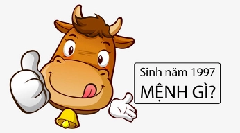 1997-mang-gi-kham-pha-van-menh-tinh-cach-va-mau-sac-hop-tuoi_509