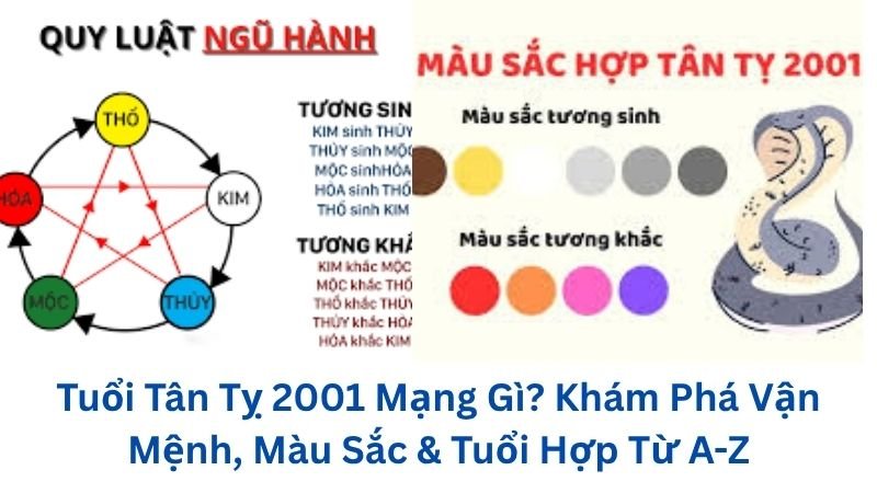 2001-mang-gi