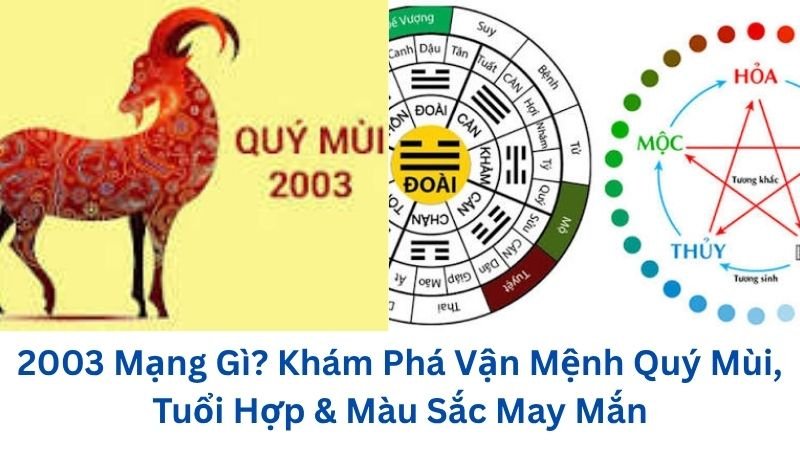 2003-mang-gi
