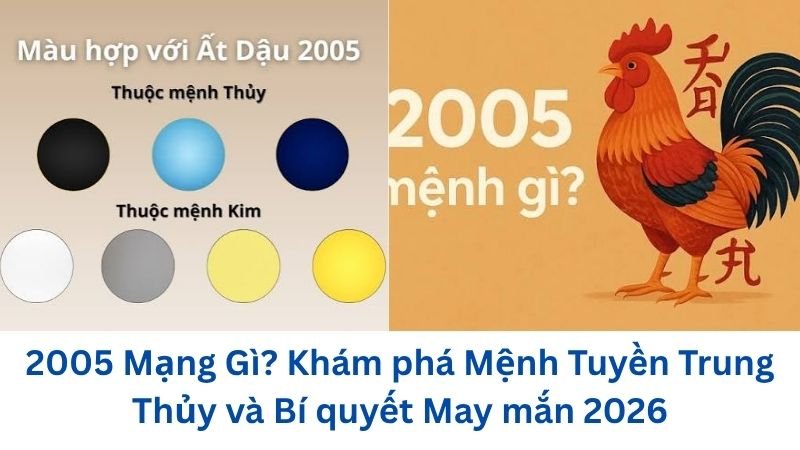 2005-mang-gi
