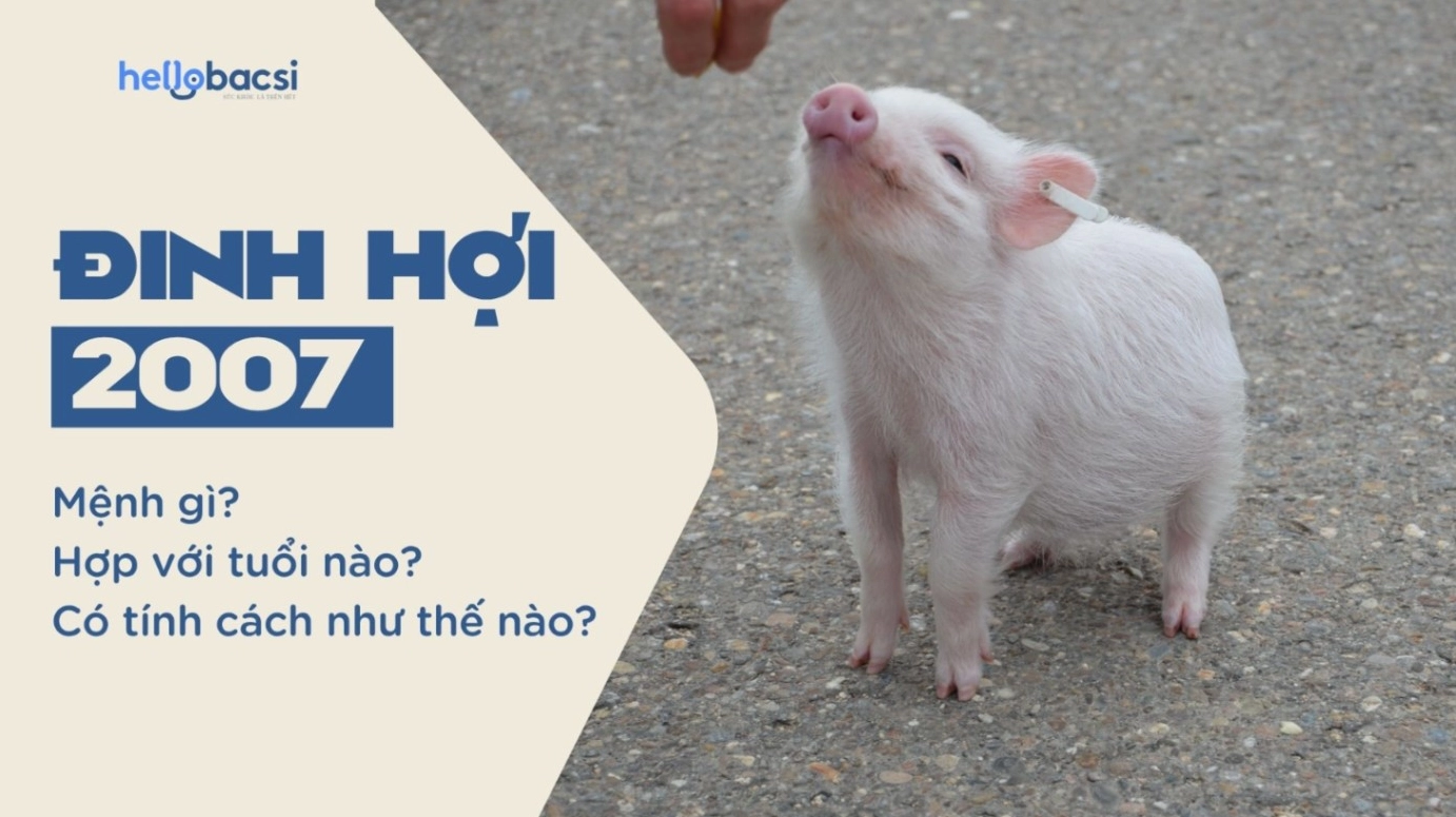 2007 thuộc mệnh gì? Giải mã chi tiết tính cách Đinh Hợi 2007