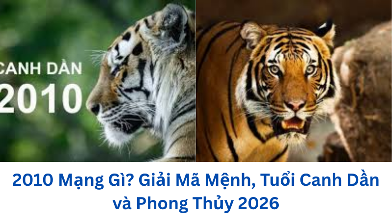 2010-mang-gi