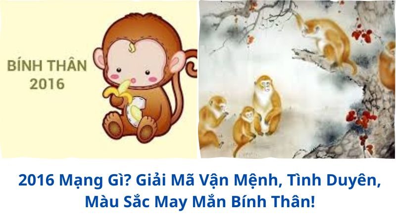 2016-mang-gi