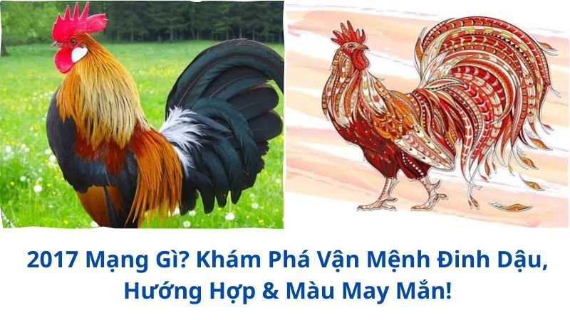 2017-mang-gi