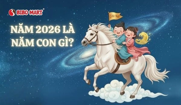 2026-mang-gi-giai-ma-van-menh-binh-ngo-thien-ha-thuy-tu-a-z_455