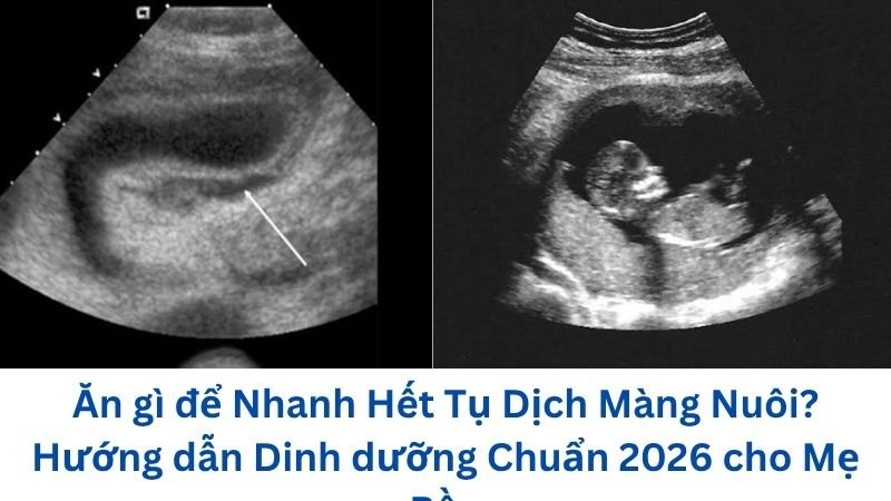 an-gi-de-nhanh-het-tu-dich-mang-nuoi