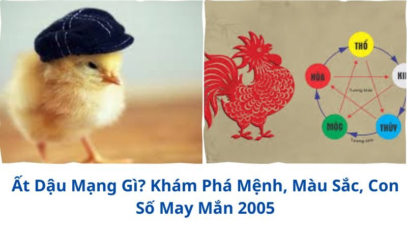 at-dau-mang-gi