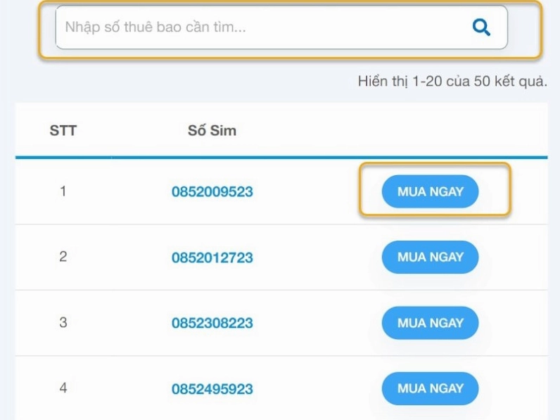Cách đăng ký thuê bao điện thoại đầu số 085 chính chủ bước 2