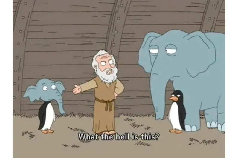 Cảm giác “what the hell” được truyền tải qua meme what the hell siêu chất!