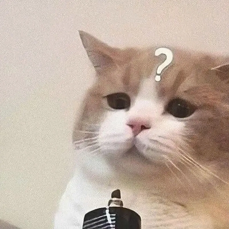 Cảm xúc rối ren qua từng meme khó hiểu đầy thú vị