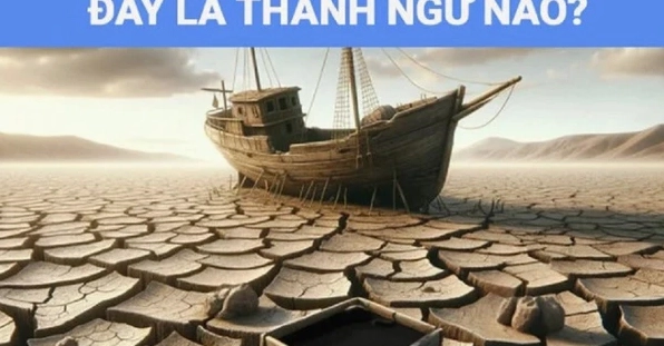 can-tau-rao-mang-la-gi-giai-ma-thanh-ngu-tac-hai-cach-tranh-_921