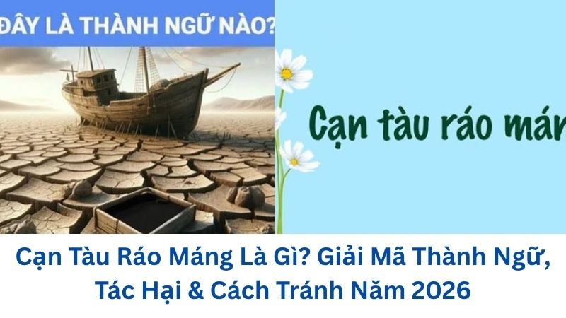 can-tau-rao-mang-la-gi