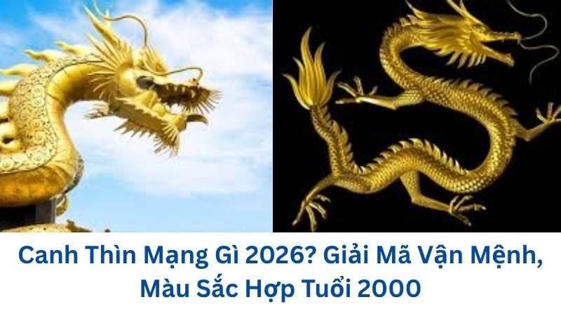canh-thin-mang-gi
