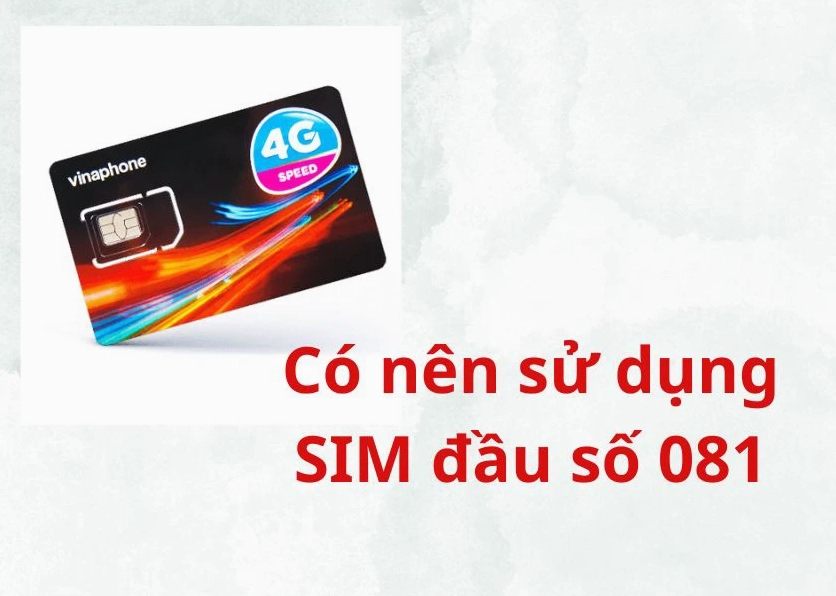Có nên sử dụng đầu 081