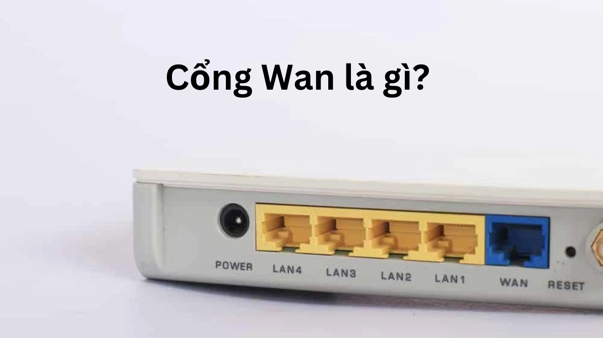 Cổng WAN là gì? Phân biệt cổng WAN và cổng LAN