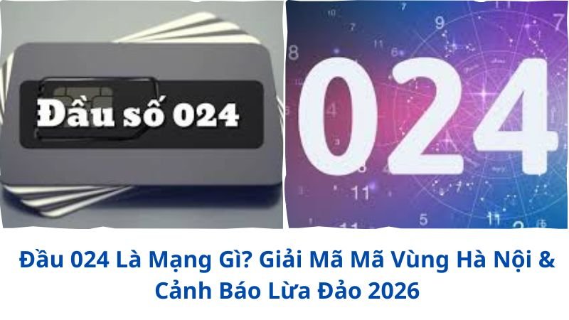 dau-024-la-mang-gi