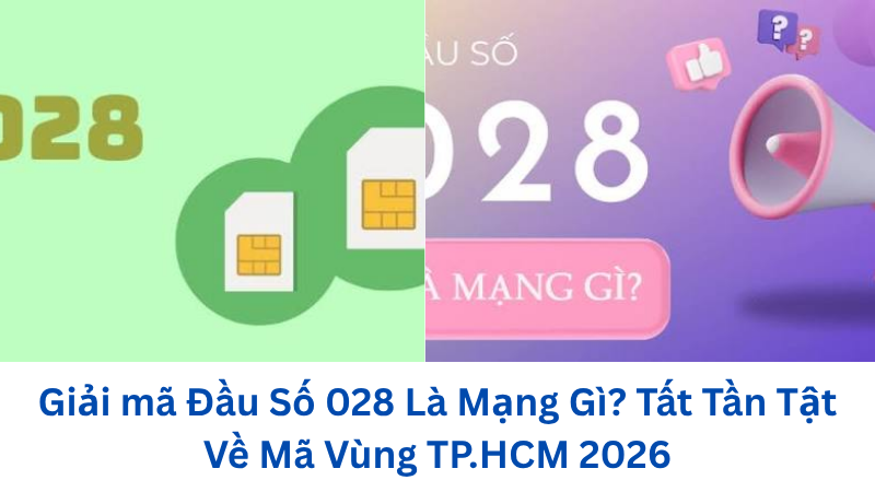 dau-028-la-mang-gi