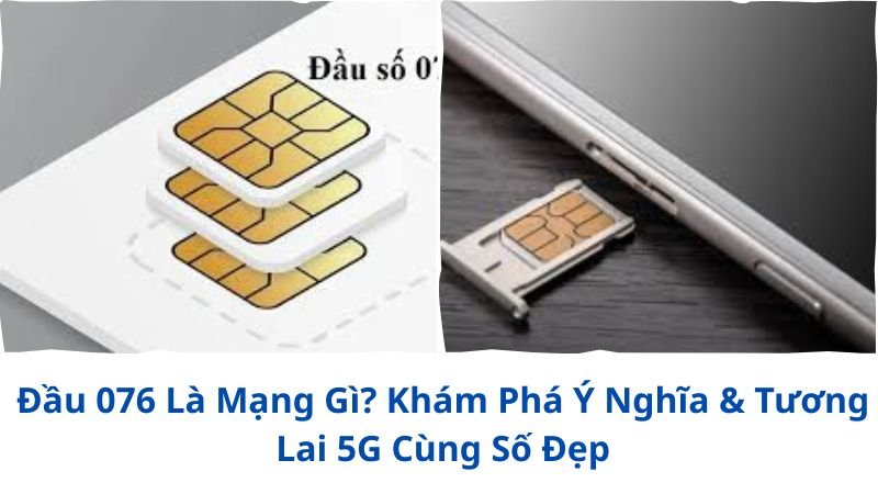 dau-076-la-mang-gi