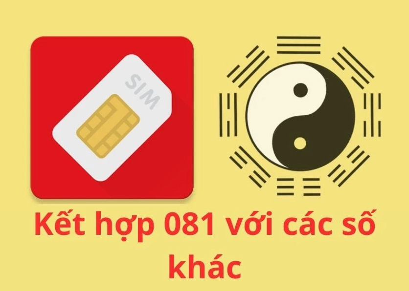 đầu 081 là mạng gì