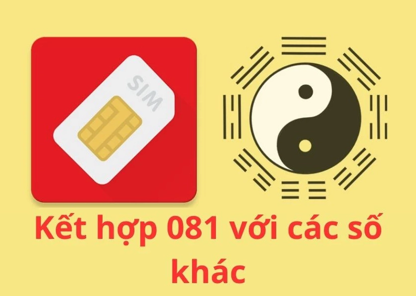 đầu 081 là mạng gì