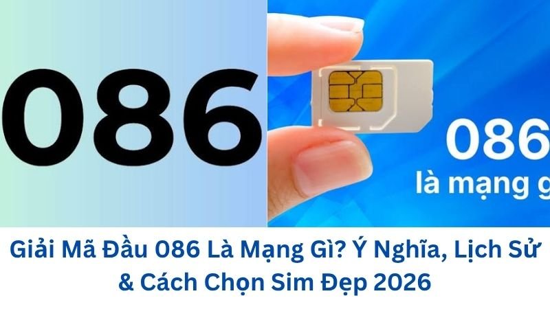 dau-086-la-mang-gi