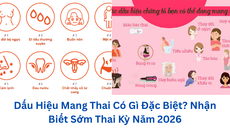 dau-hieu-mang-thai