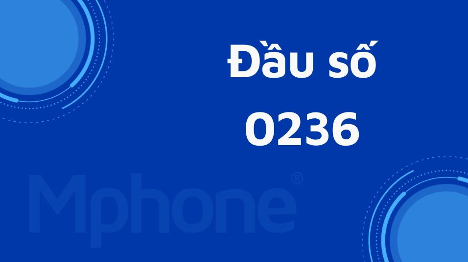 Đầu số 0236