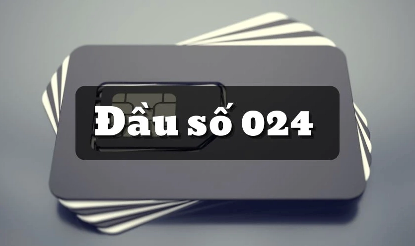 Đầu số 024 là mạng gì?