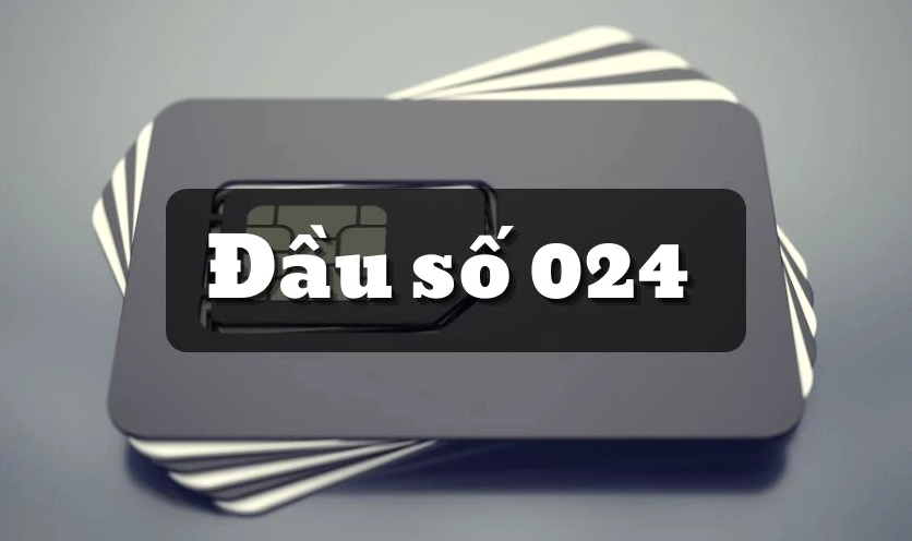 Đầu số 024 là mạng gì?