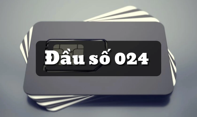 Đầu số 024 là mạng gì?