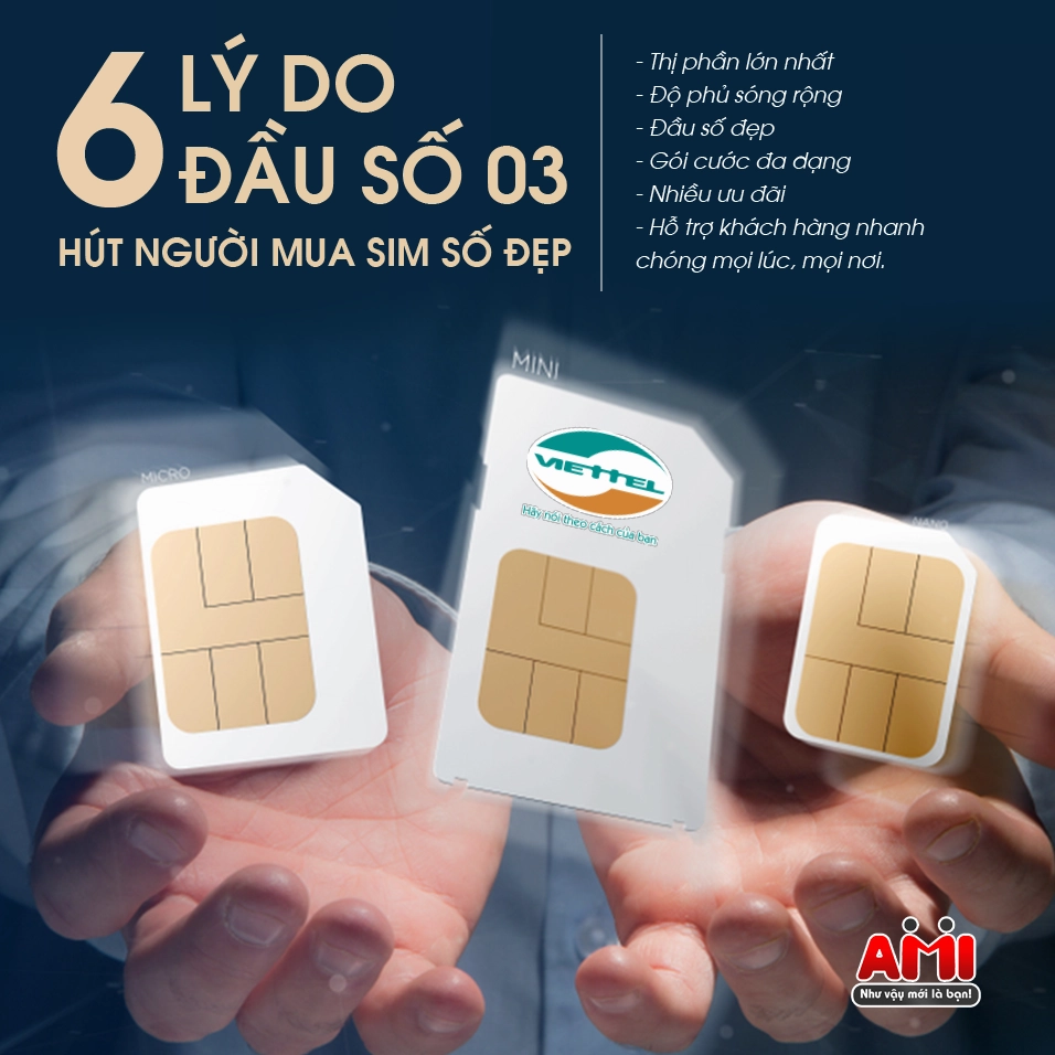 dau-so-03-1