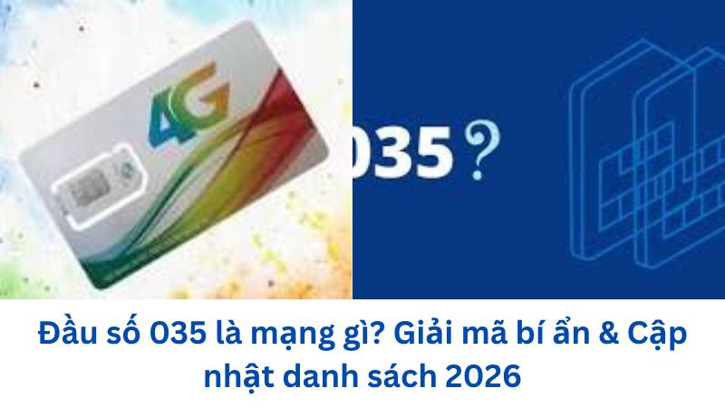dau-so-035-la-mang-gi