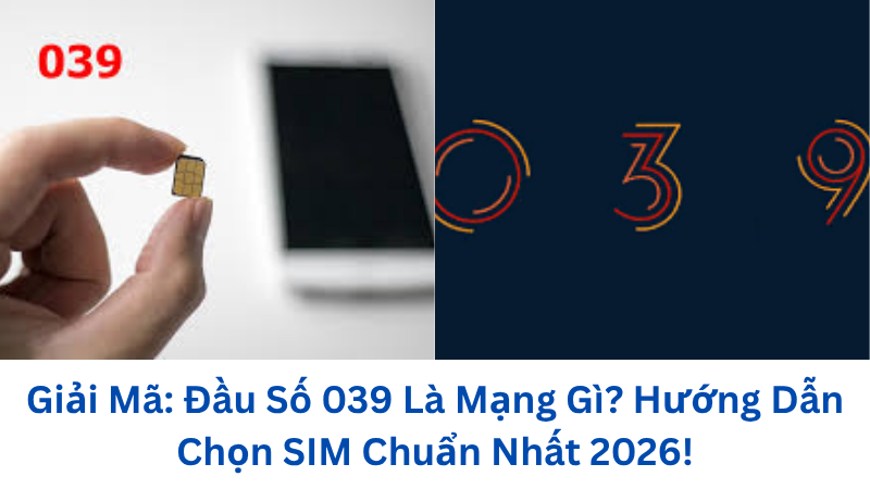 dau-so-039-la-mang-gi