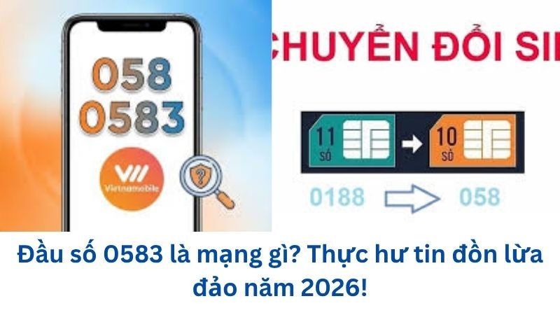 dau-so-0583-la-mang-gi