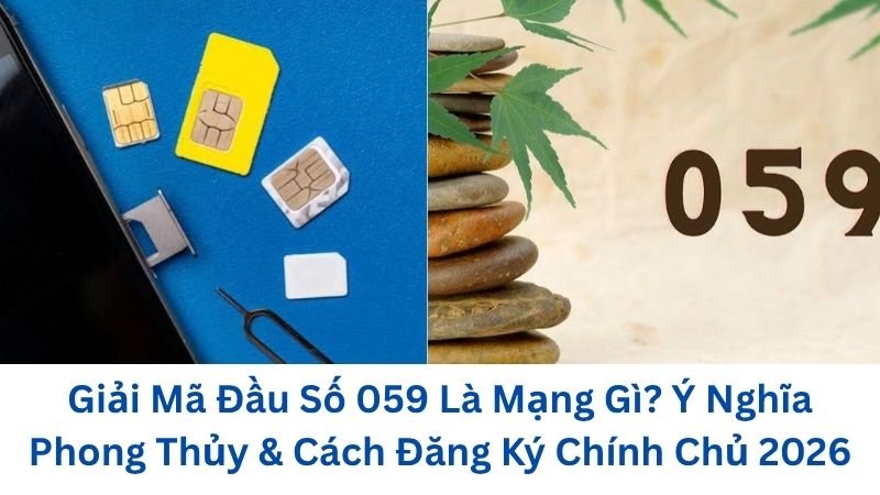 dau-so-059-la-mang-gi