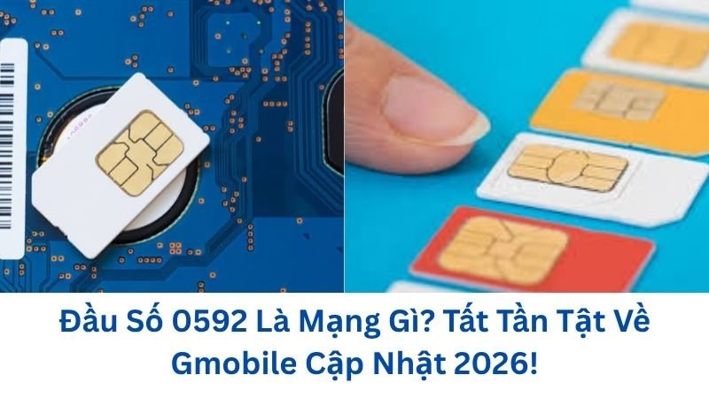 dau-so-0592-la-mang-gi