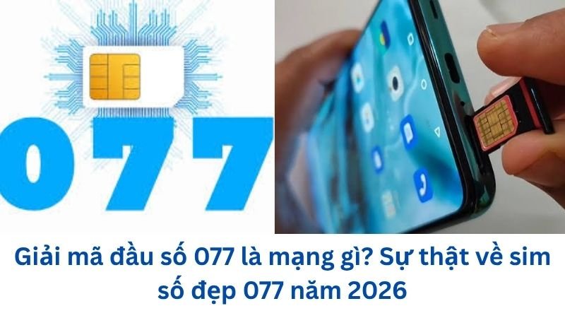 dau-so-077-la-mang-gi