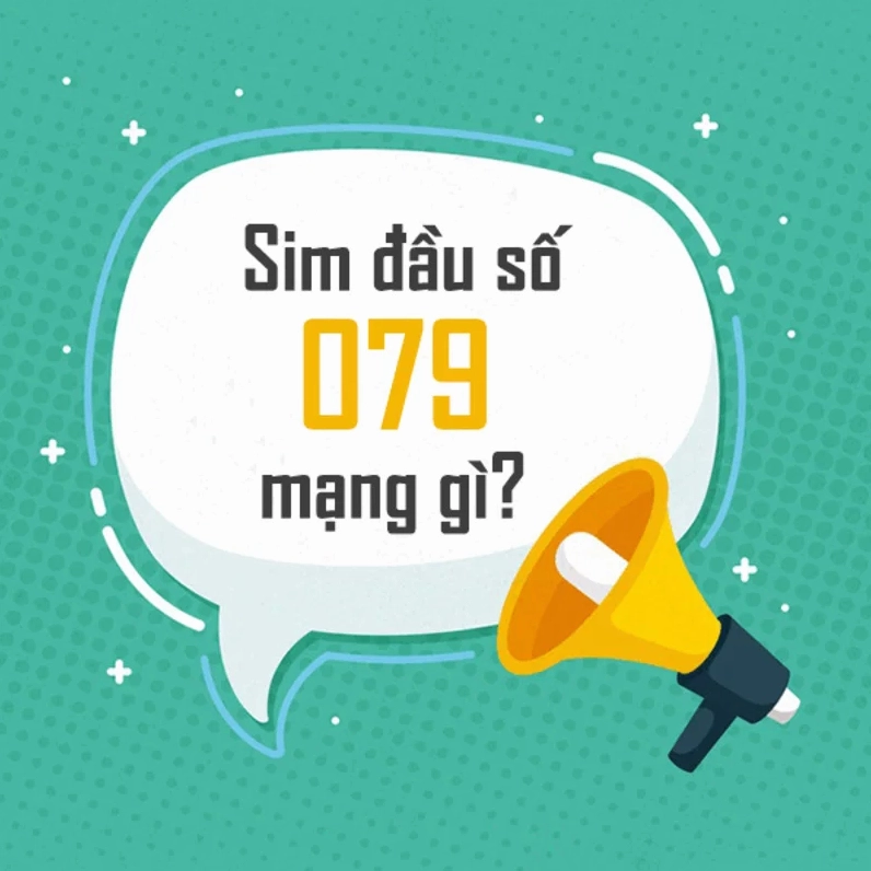 dau-so-079-la-mang-gi-giai-ma-y-nghia-huong-dan-dang-ky-sim-_253