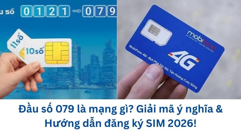 dau-so-079-la-mang-gi