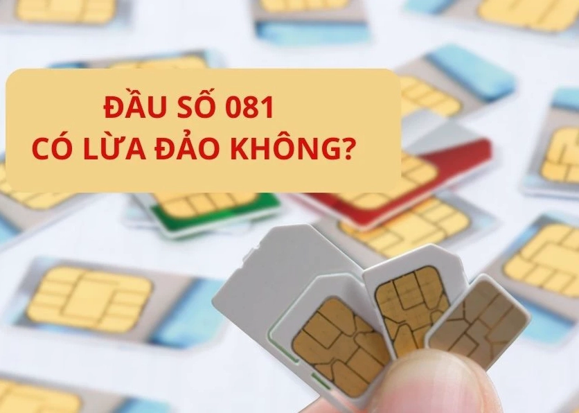 đầu số 081 có lừa đảo không
