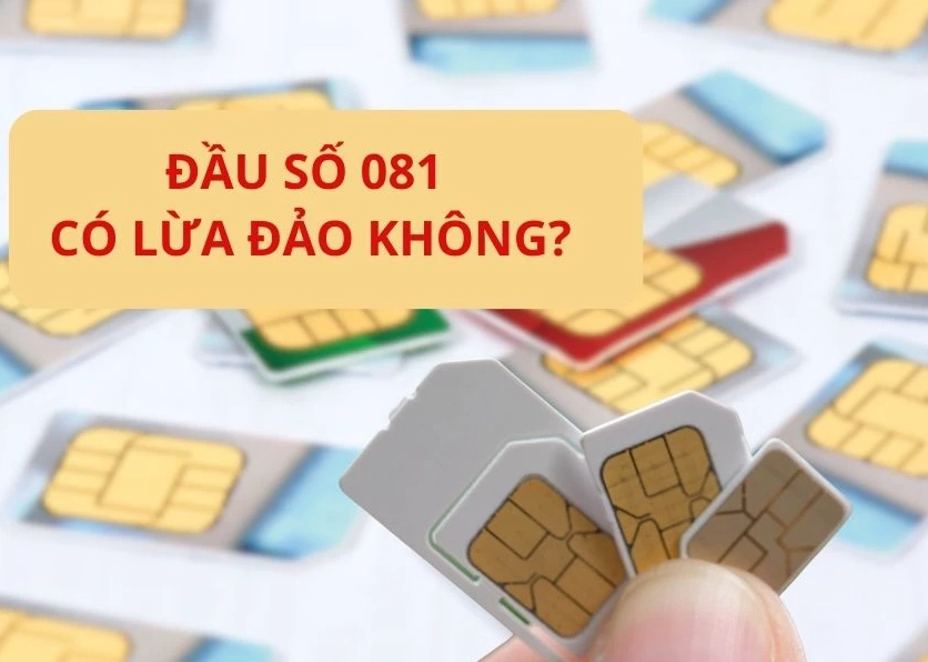 đầu số 081 có lừa đảo không
