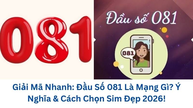 dau-so-081-la-mang-gi
