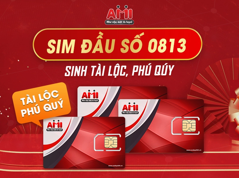 dau-so-0813-la-mang-gi