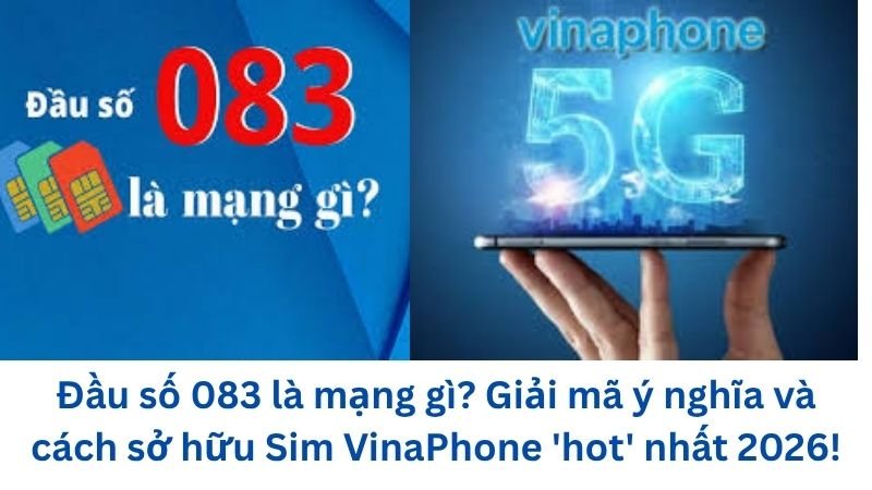 dau-so-083-la-mang-gi