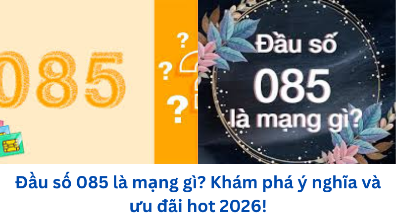 dau-so-085-la-mang-gi
