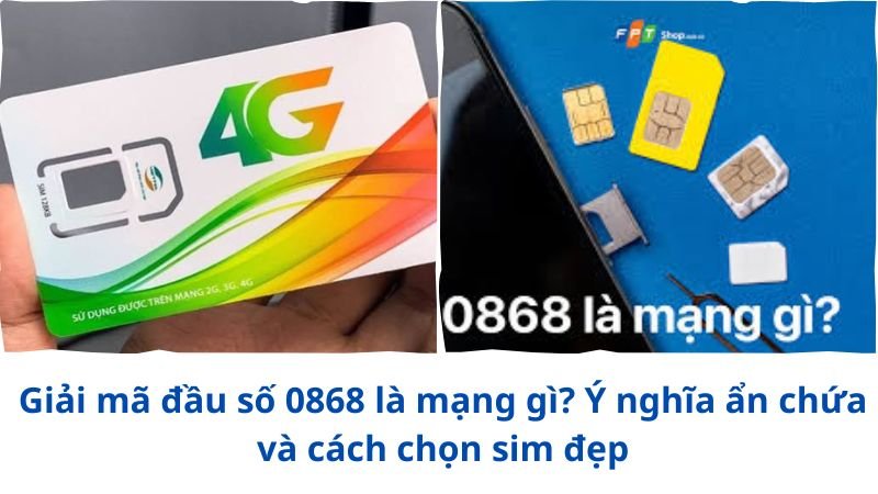 dau-so-0868-la-mang-gi